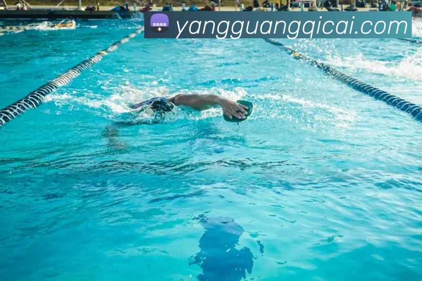 多媒体互动体验